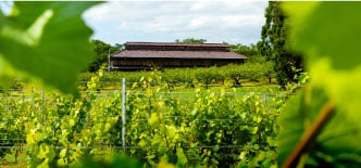 ピーノ・コッリーナ・ファーム　ガーデン＆ワイナリー松ケ岡