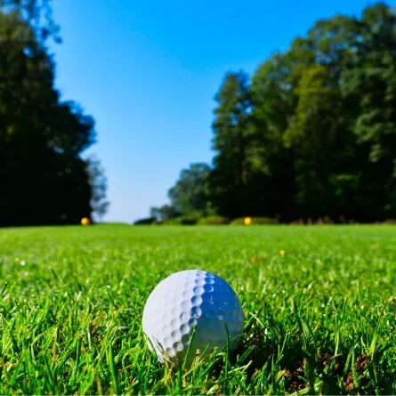 ゴルフコンペプラン